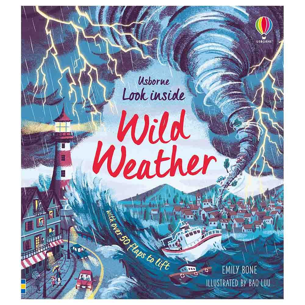 Usborne Books - Look Inside Wild Weather