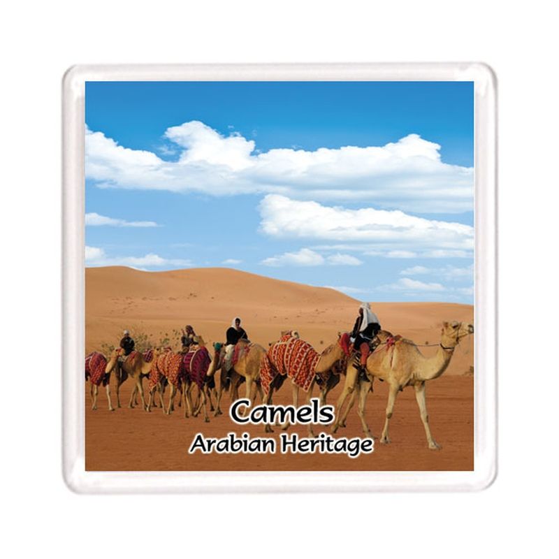 Ajooba Dubai Souvenir Magnet Camel Arabian Heritage MCA 0012