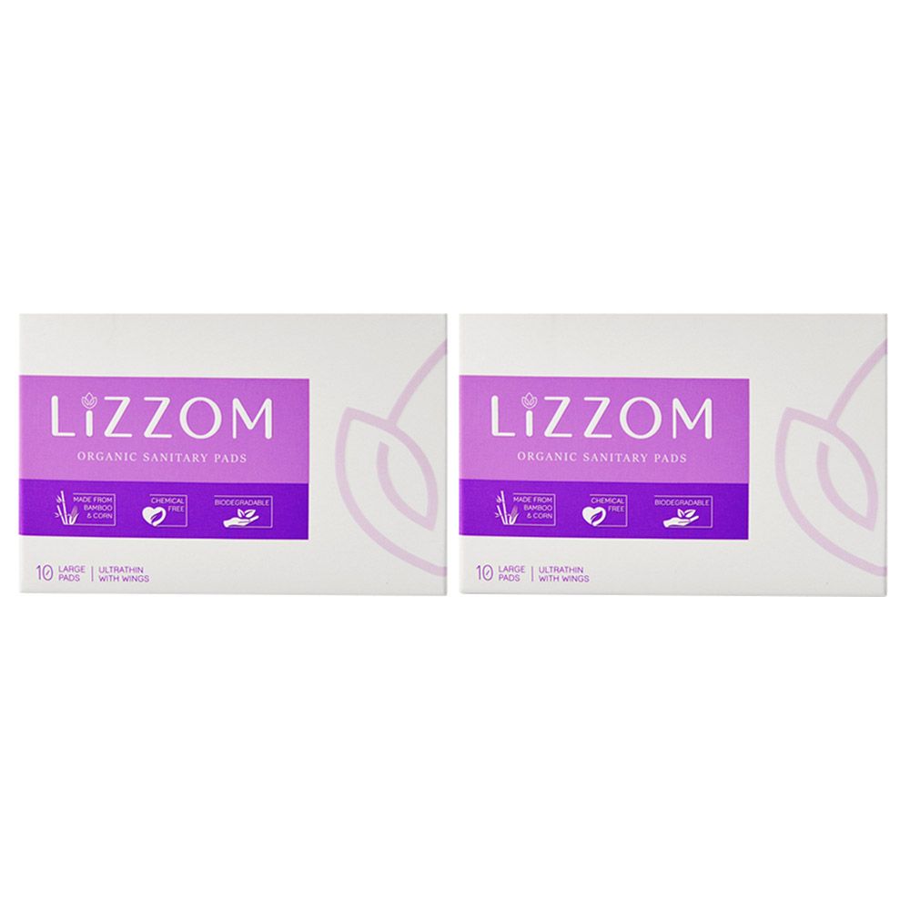 Lizzom Organic Ultrathin With Dual Wings 20 Large Pads, Saver Pack of 2 (Biodegradable)