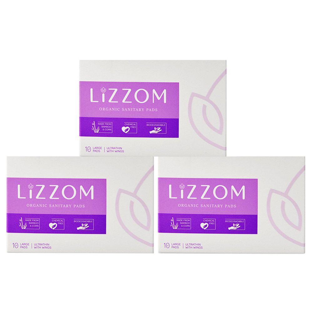 Lizzom Organic Ultrathin With Dual Wings 30 Large Pads, Saver Pack of 3 (Biodegradable)