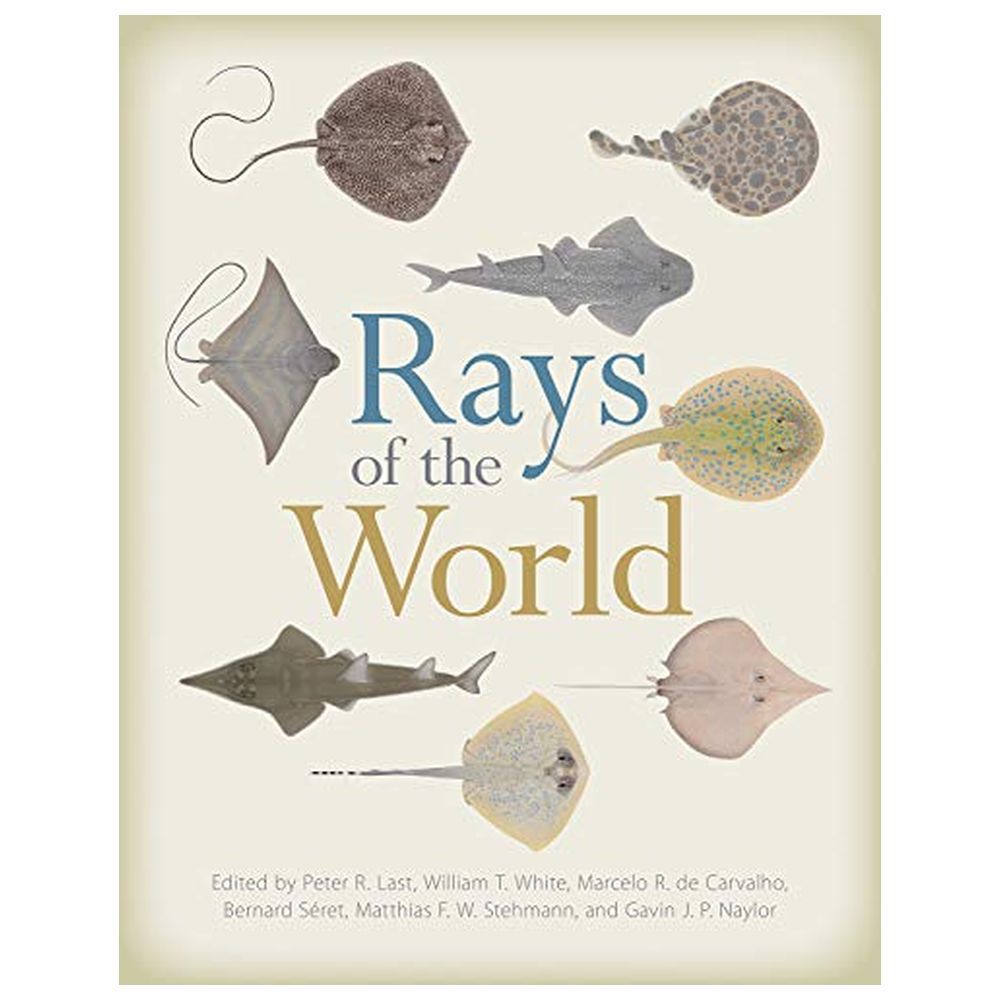 Rays Of The World