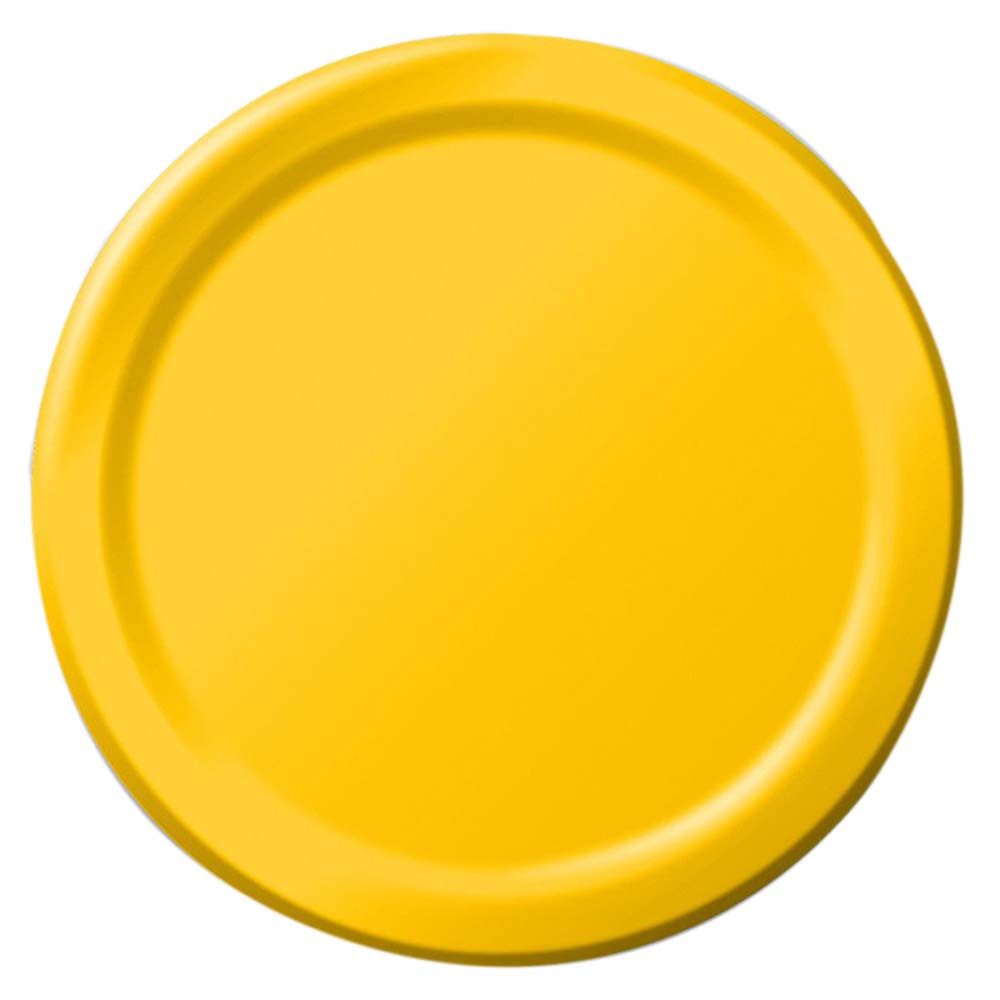 Party Zone - Round Dinner Plates 24pcs 10" - Mimosa