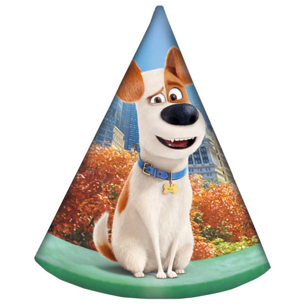 Secret Life Of Pets Party Hats 6pcs