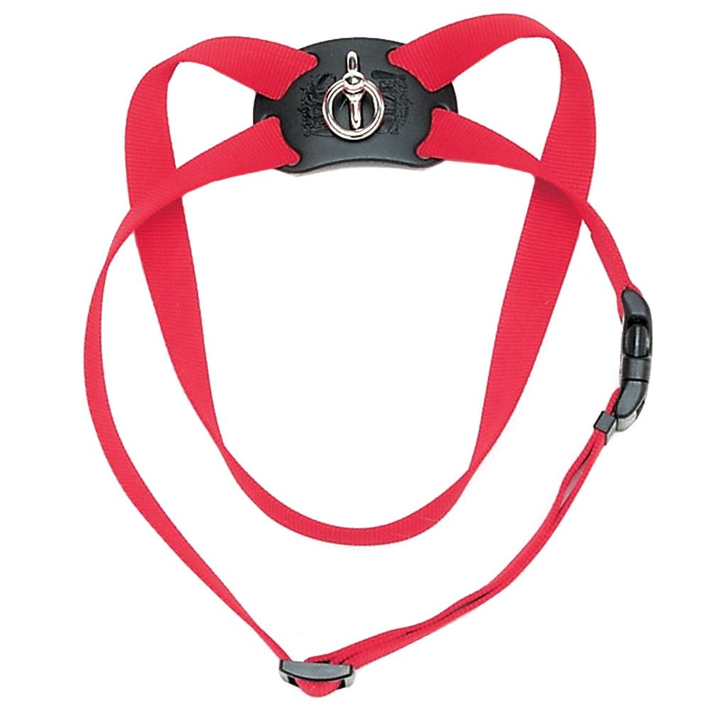 Coastal - 1" Size Right Harness Large - Red