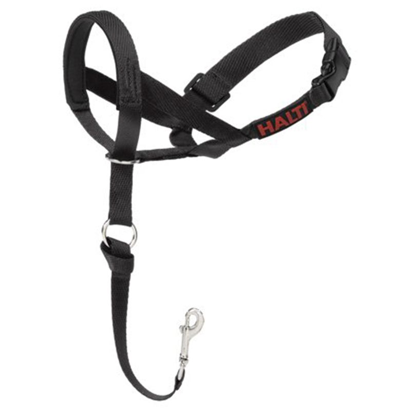 Company of Animals - Dog Head Collar Black Size 4 -Black