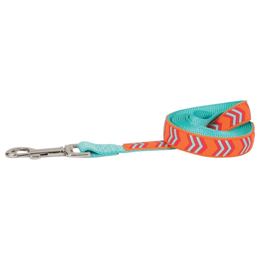 Petmate - Rubber Dog Leash - Orange Chevron