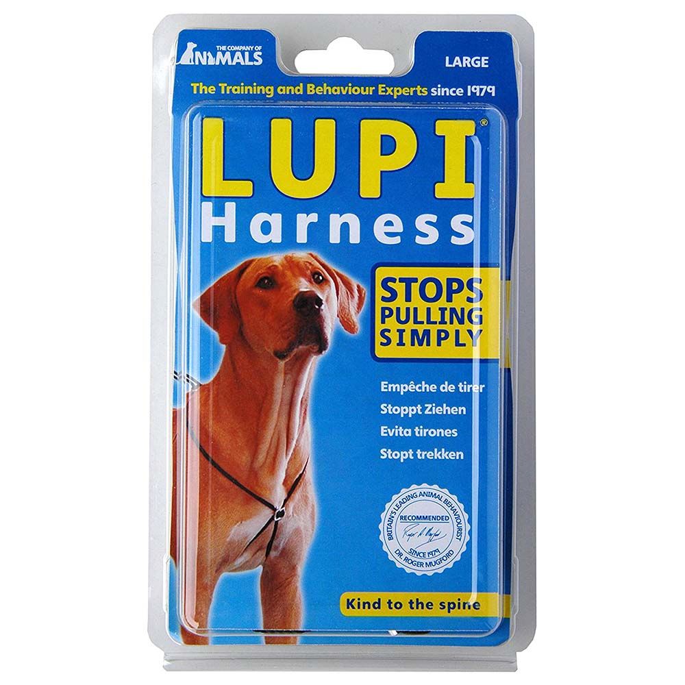 Company of Animals - Lupi Dog Harness Large - Black