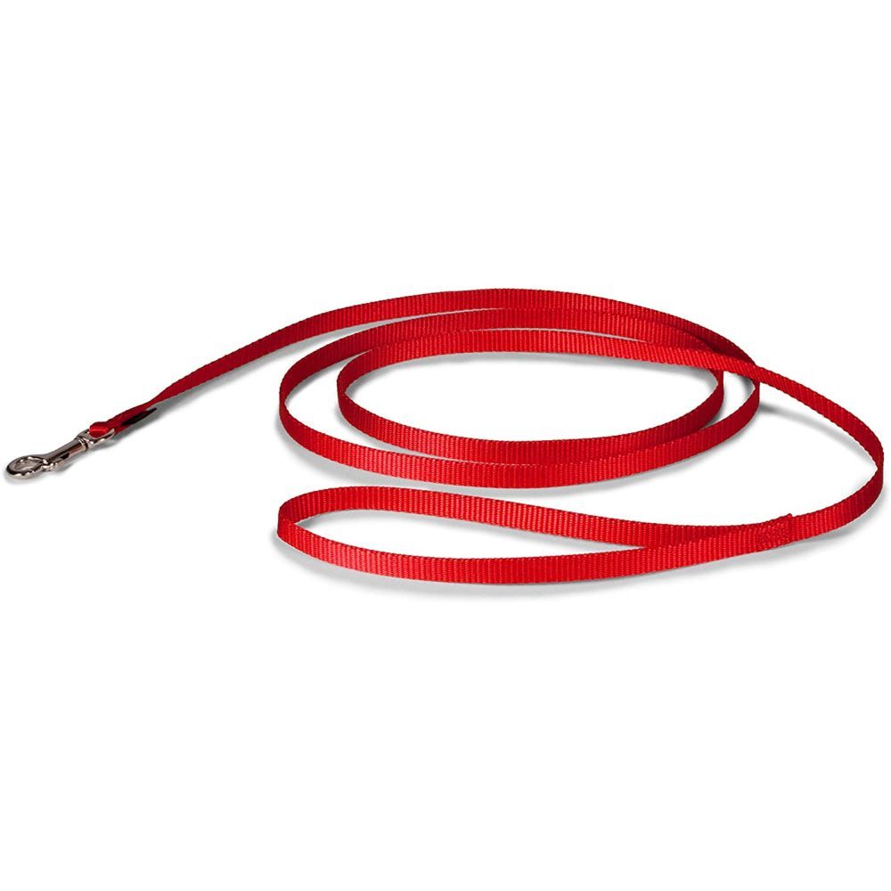 Petmate - Nylon Dog Leash 1"X6' - Red