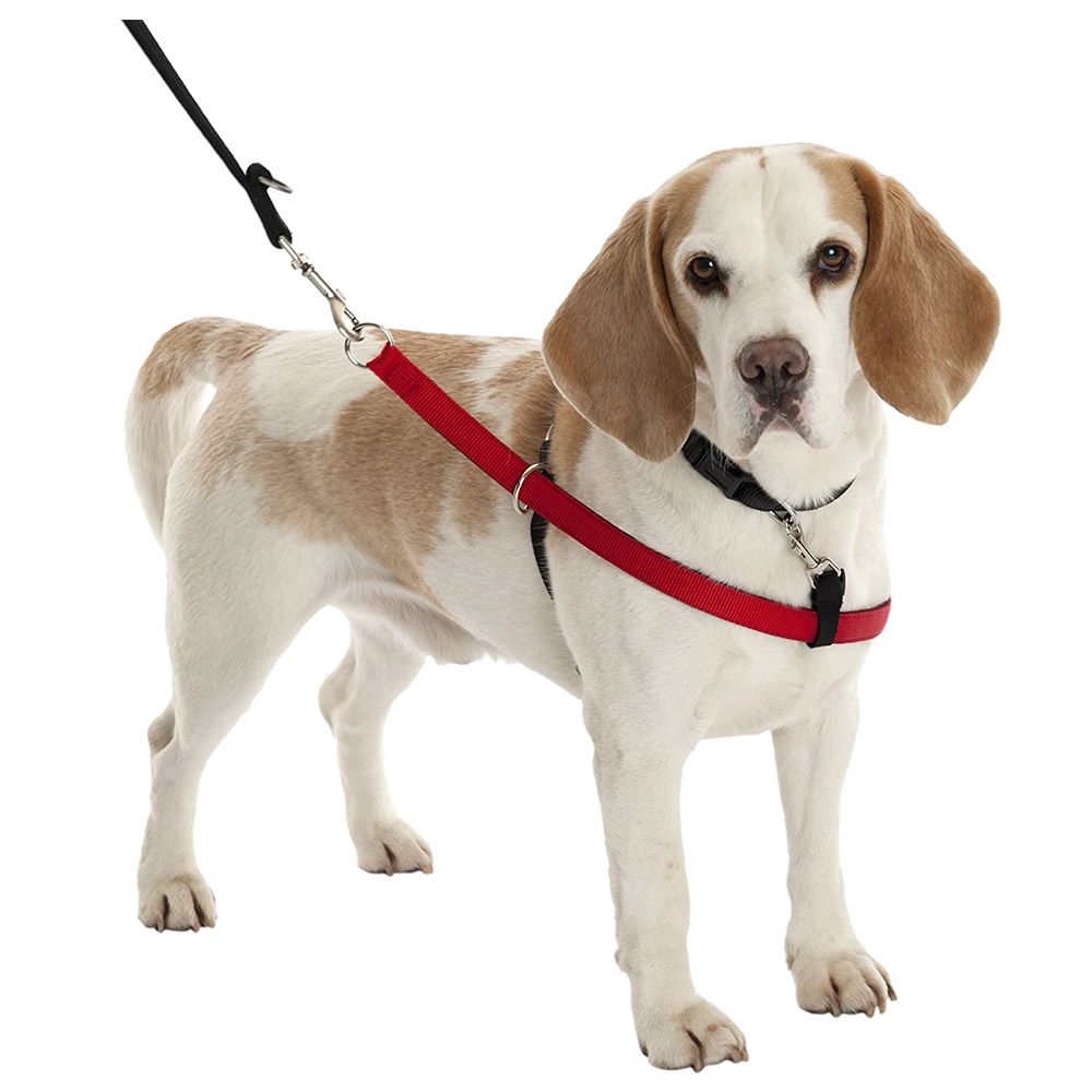 Company of Animals - Walkezee Dog Harness X-Small