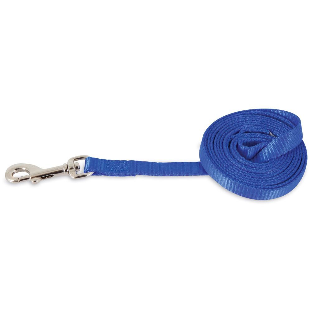 Petmate - Aspen Pet Nylon Dog Lead 3/8" X 5' - Royal Blue