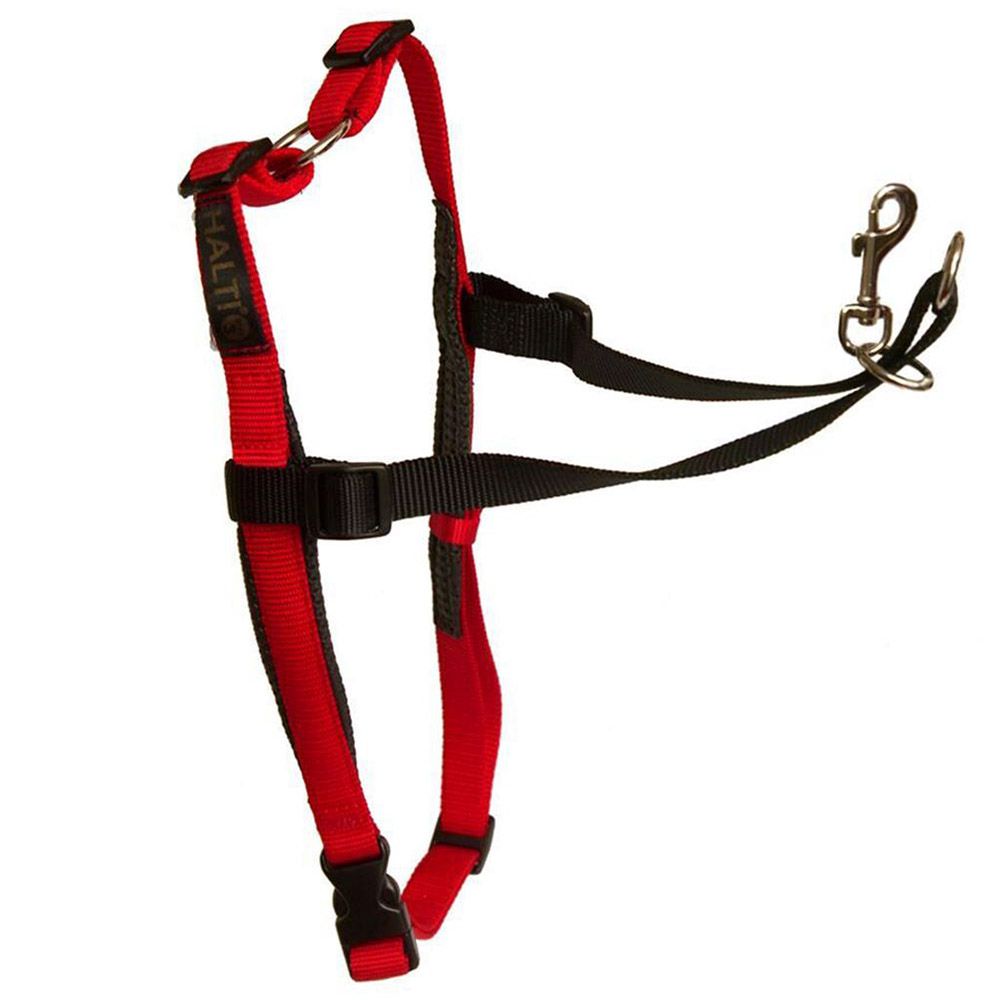 Company of Animals - Dog Harness Large - Black/Red