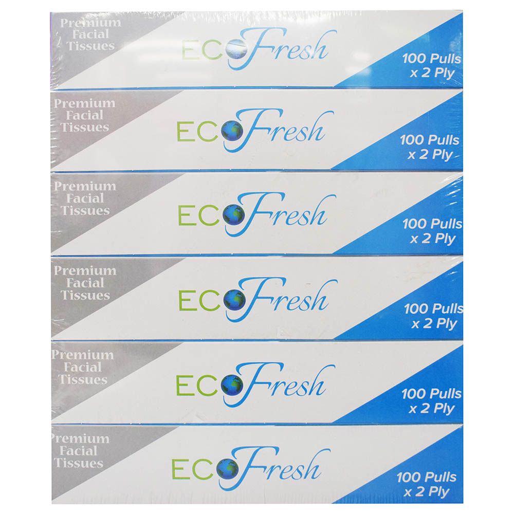 Eco Fresh - Facial Tissues 100's Pack Of 6