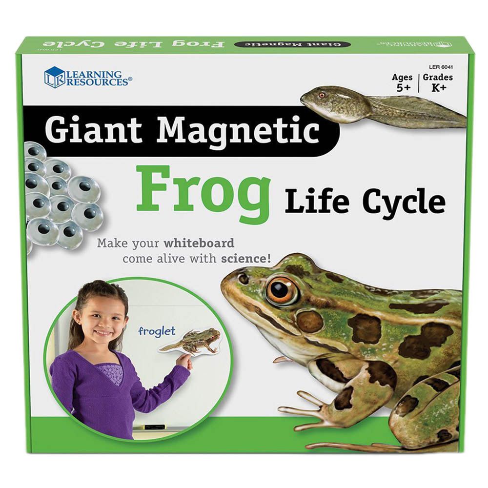 Learning Resources - Magnetic Frog Life Cycle