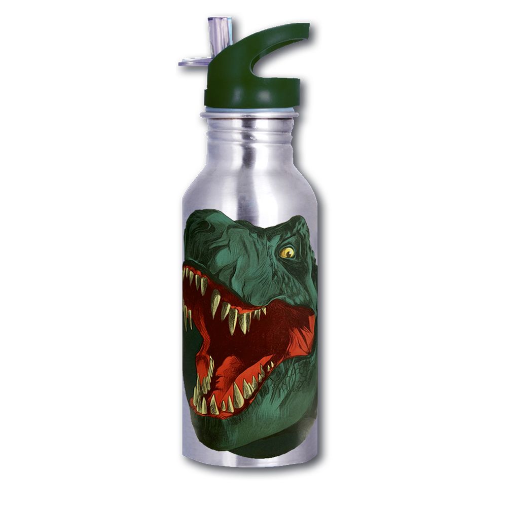 Magic Bottle - T Rex Color Changing Bottle 600ml - Green