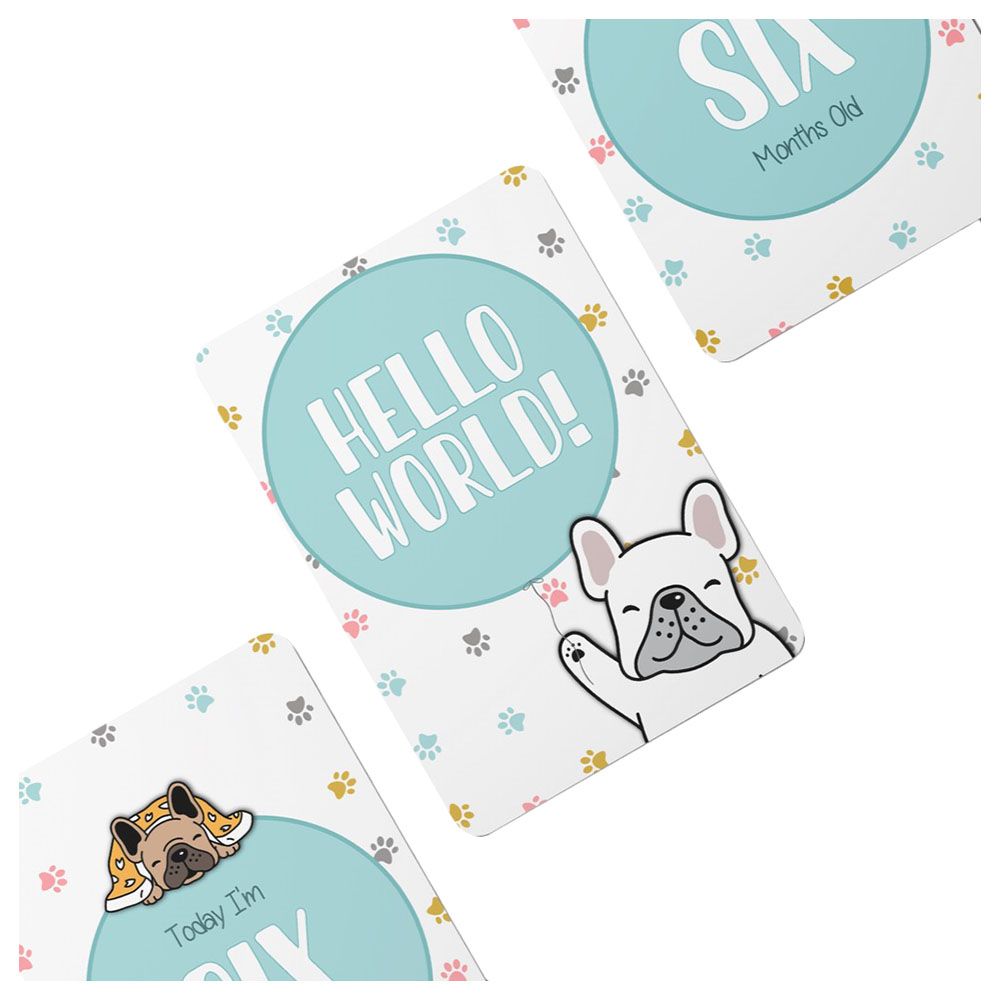 Twinkle And Giraffe - Paws Baby Milestone Cards 25C