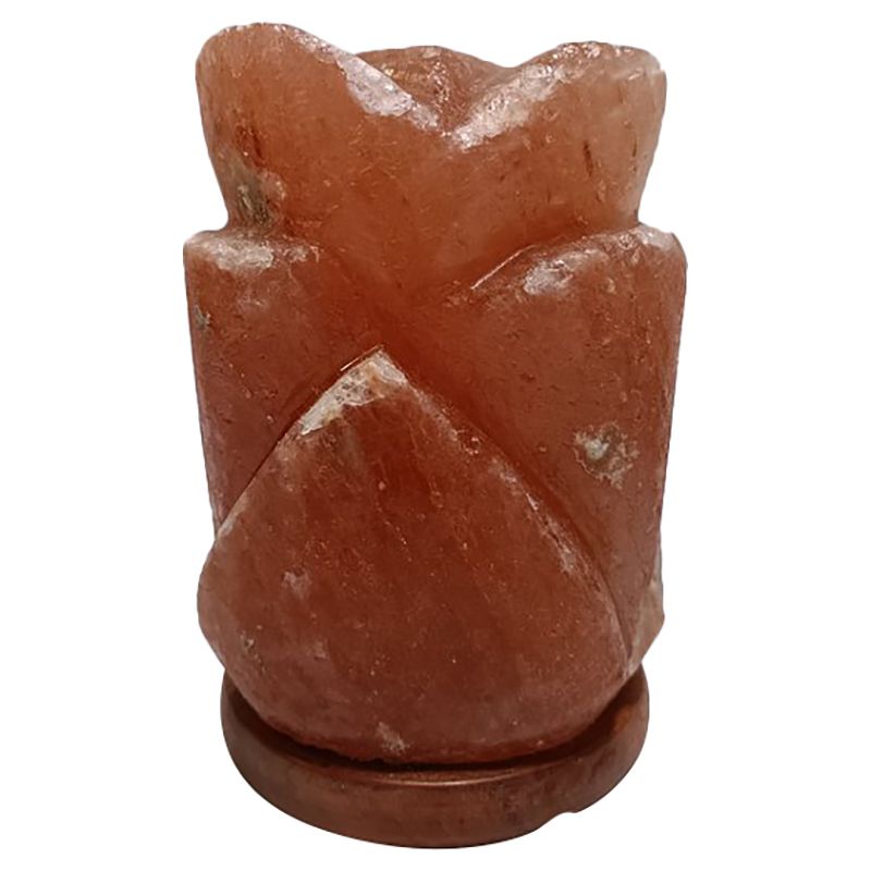 Himalayan Salt - Rose Lamp