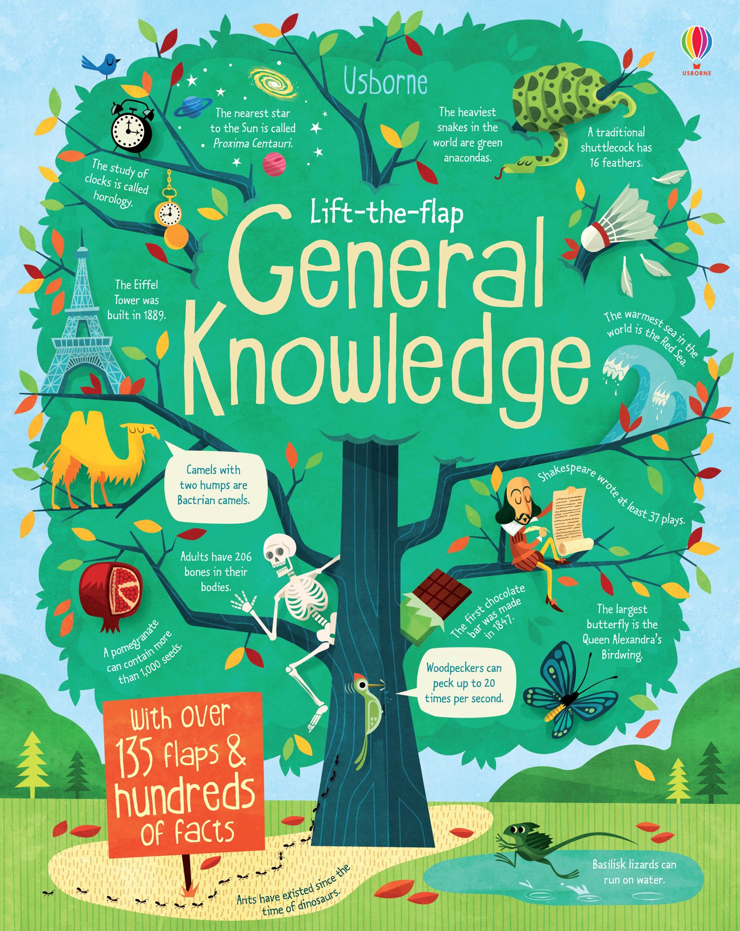 كتب أسبورن-  كتاب "Lift the flap General Knowledge"  