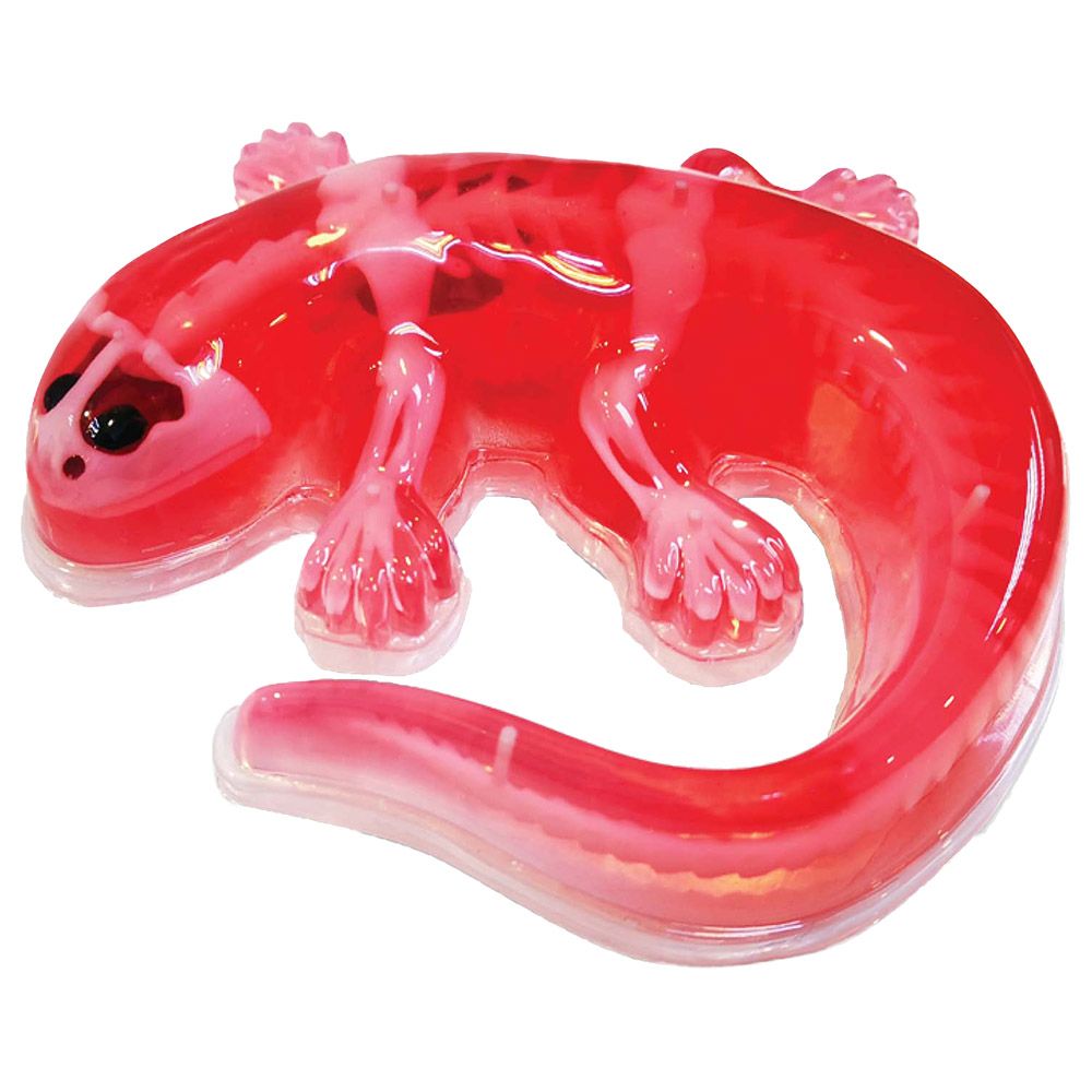 Slimy - Dissect It In Giftbox - Salamander - Red