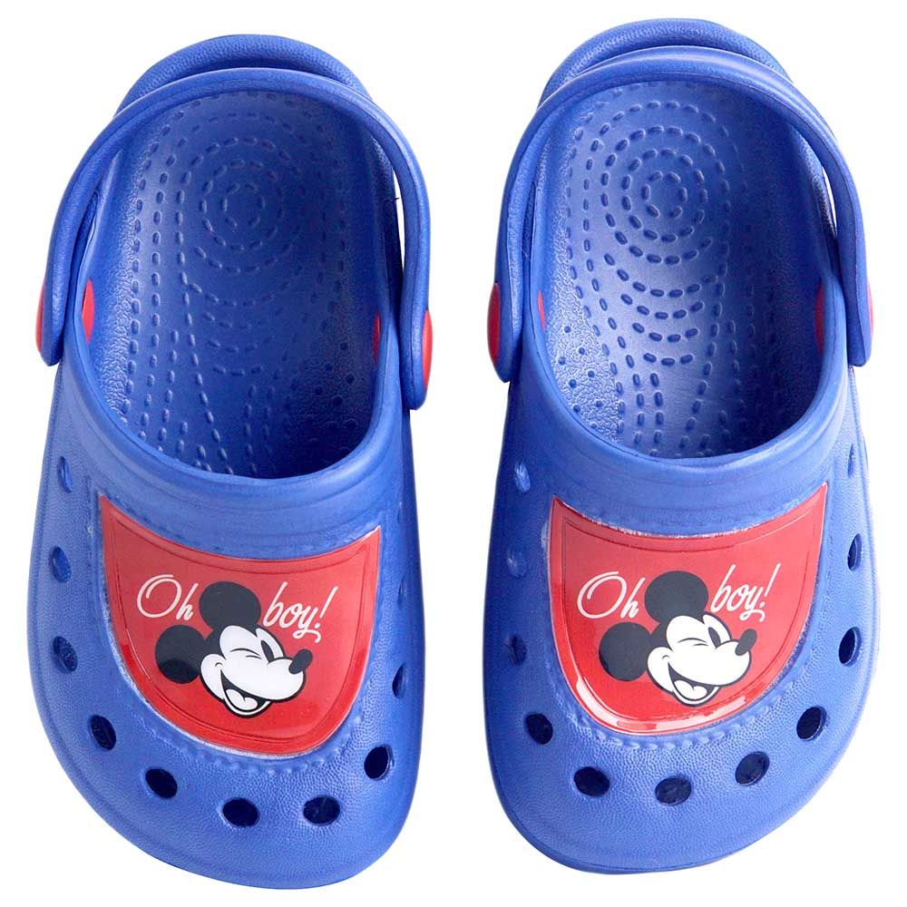 Minnie on sale mouse clogs