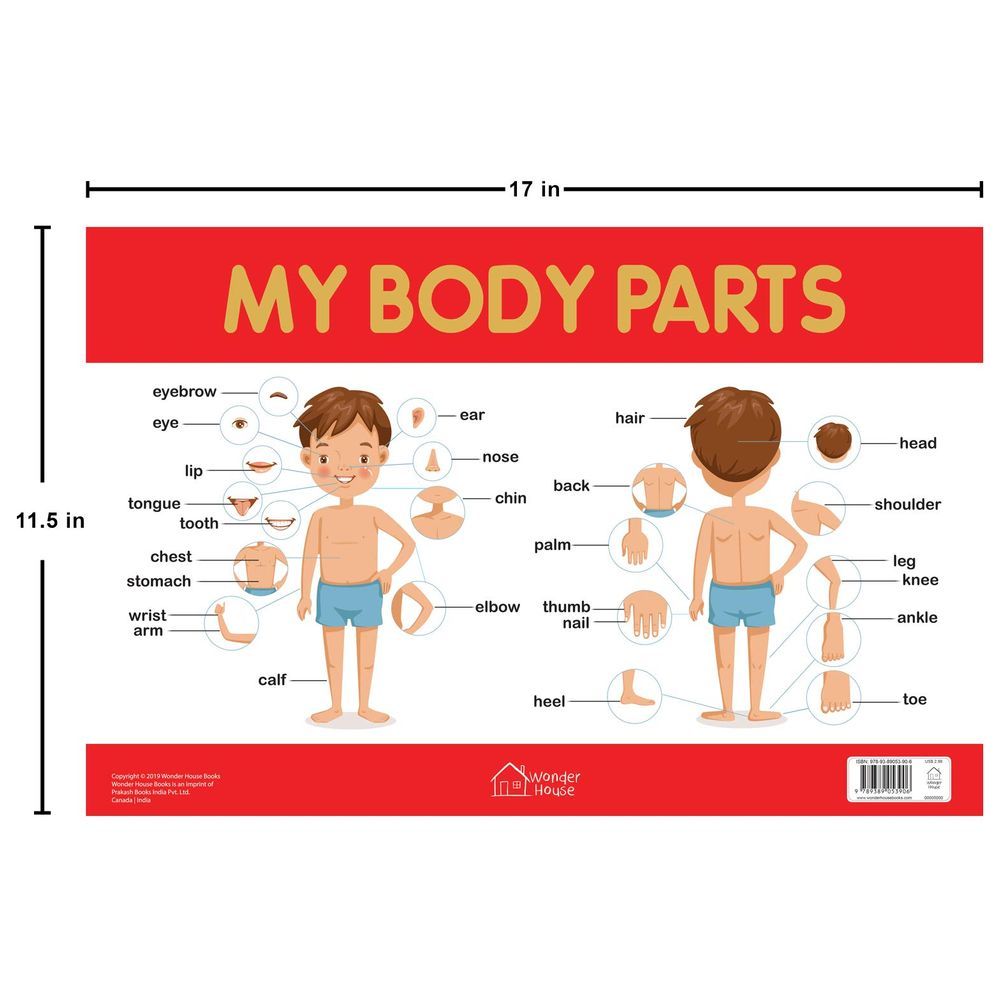 Parts of the Body Chart