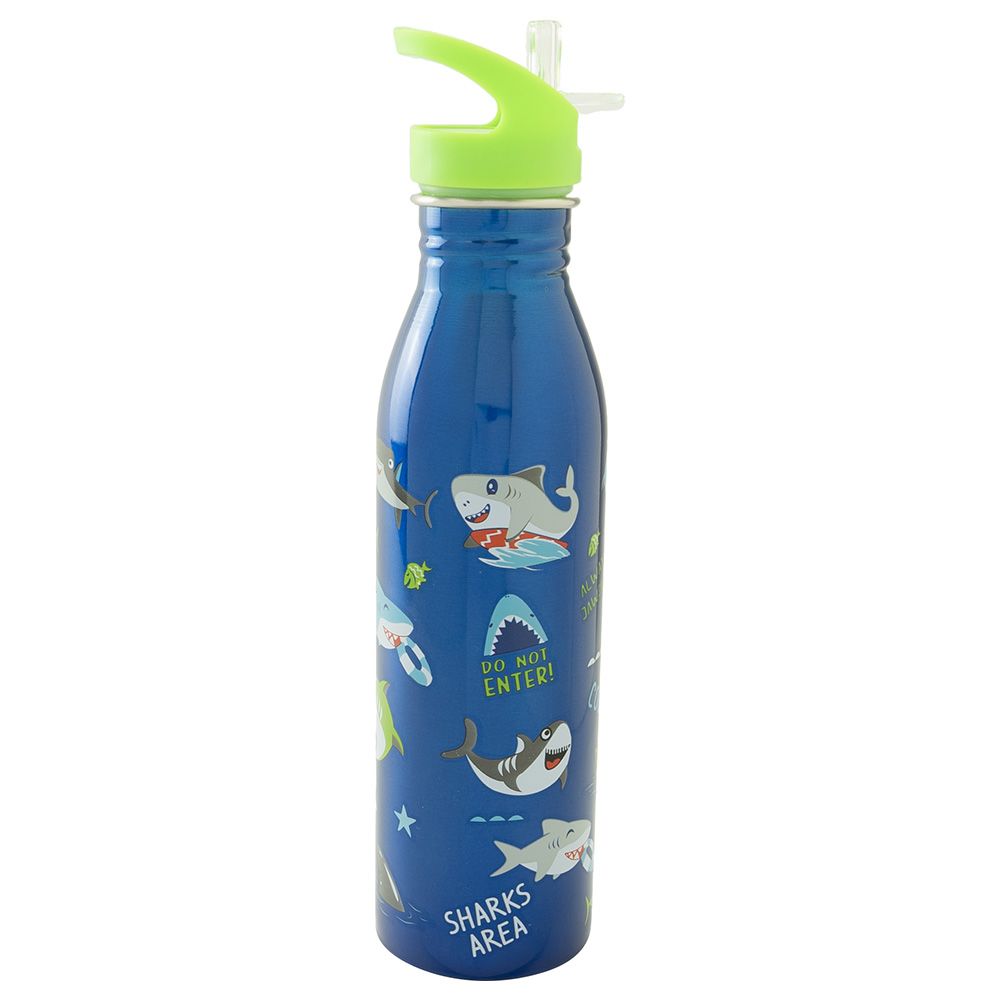 Childrens stainless store steel water bottle