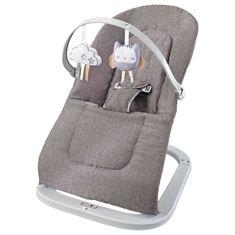 Grey best sale baby rocker