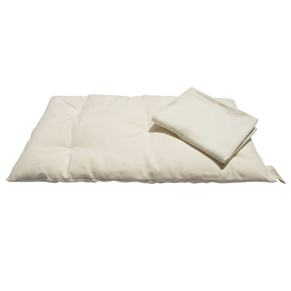 Organic sale cotton cushions