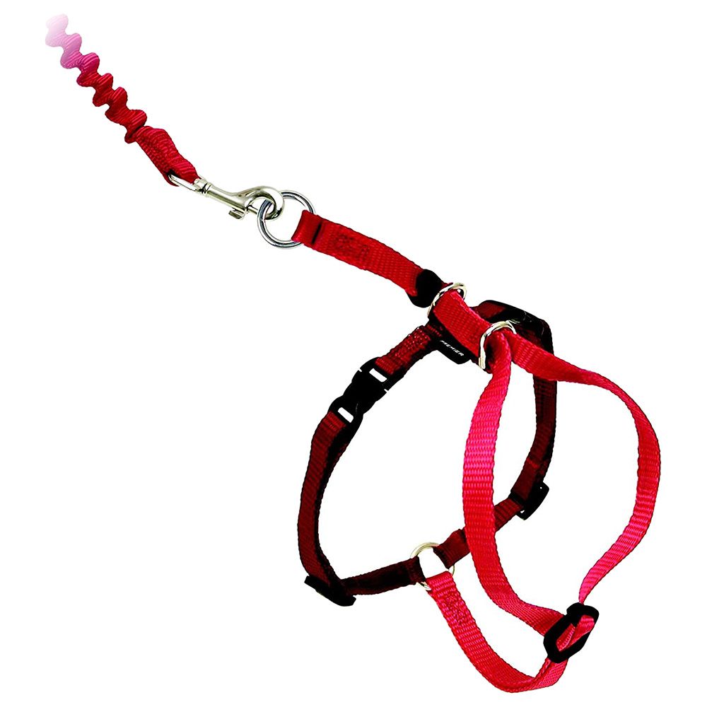 Easy walk harness outlet lead