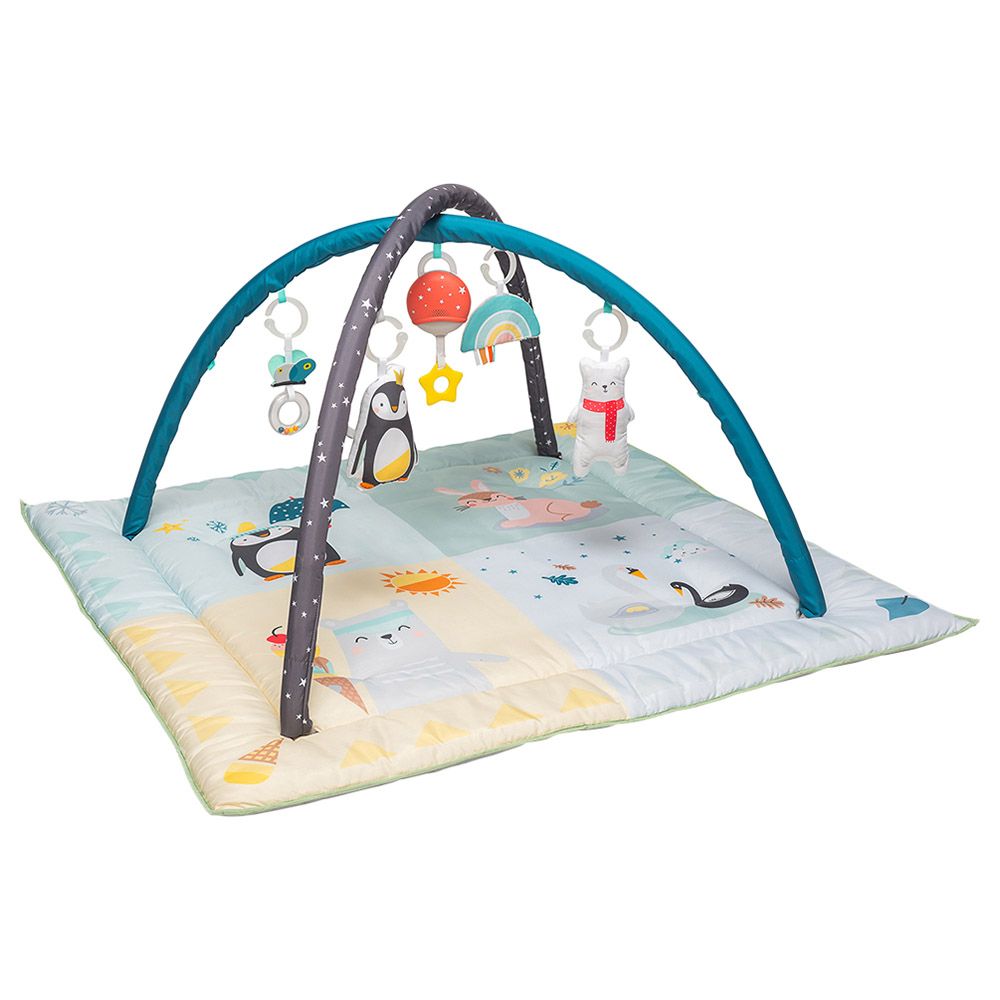 Taf toys cheap baby gym