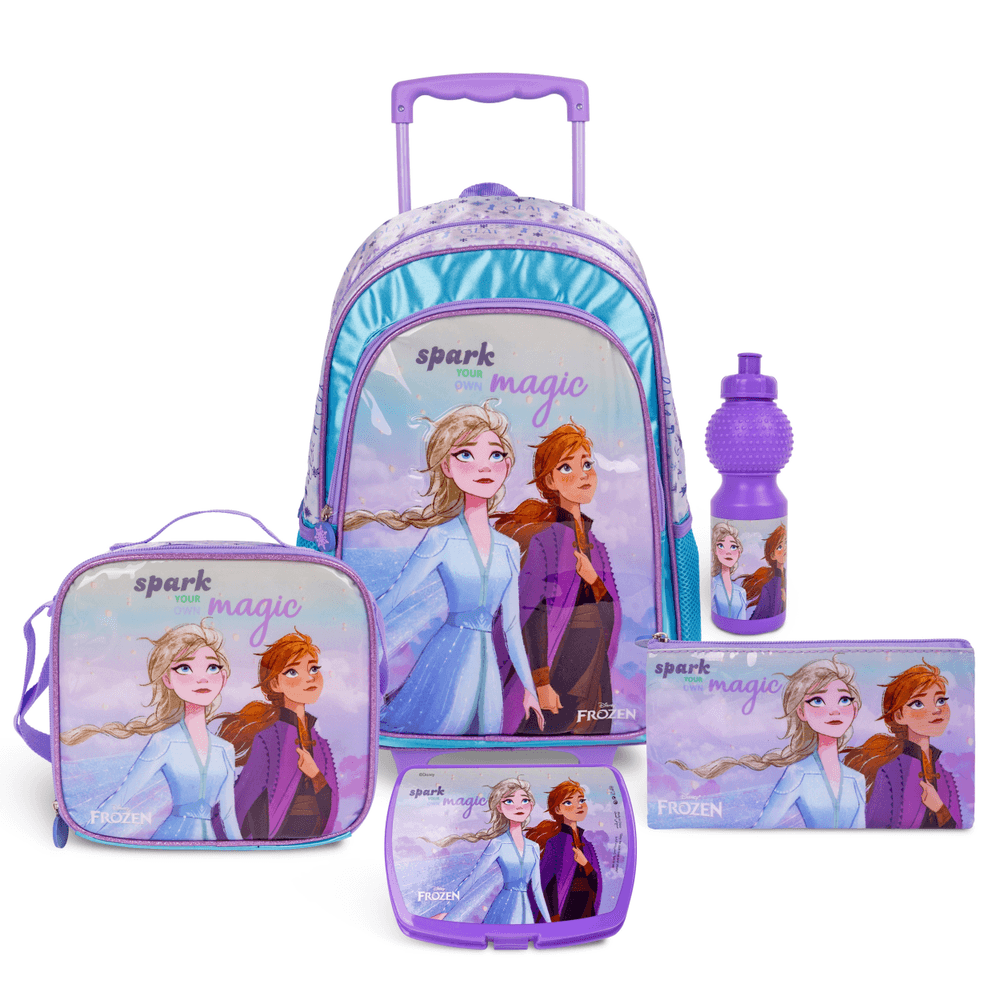 Frozen school bag set sale