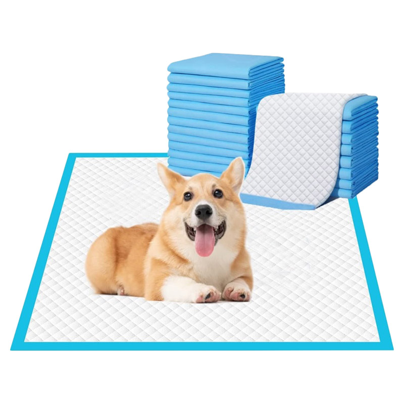 Pet training outlet mats