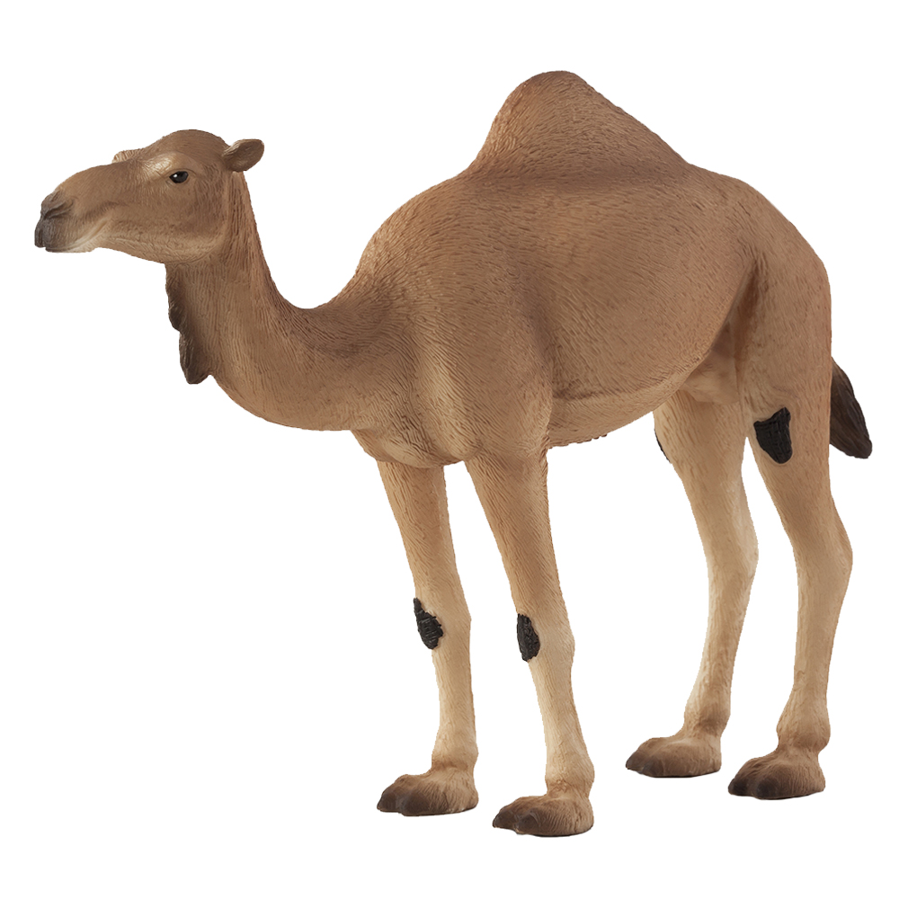 Animal Planet - Mojo Arabian Camel Toy Figure - Brown | Buy at Best ...