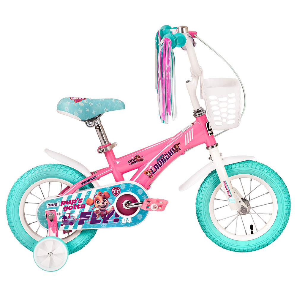 Paw patrol skye 30cm bike sale with handle