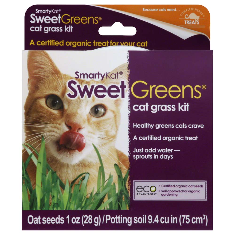 Organic cat grass outlet growing kit