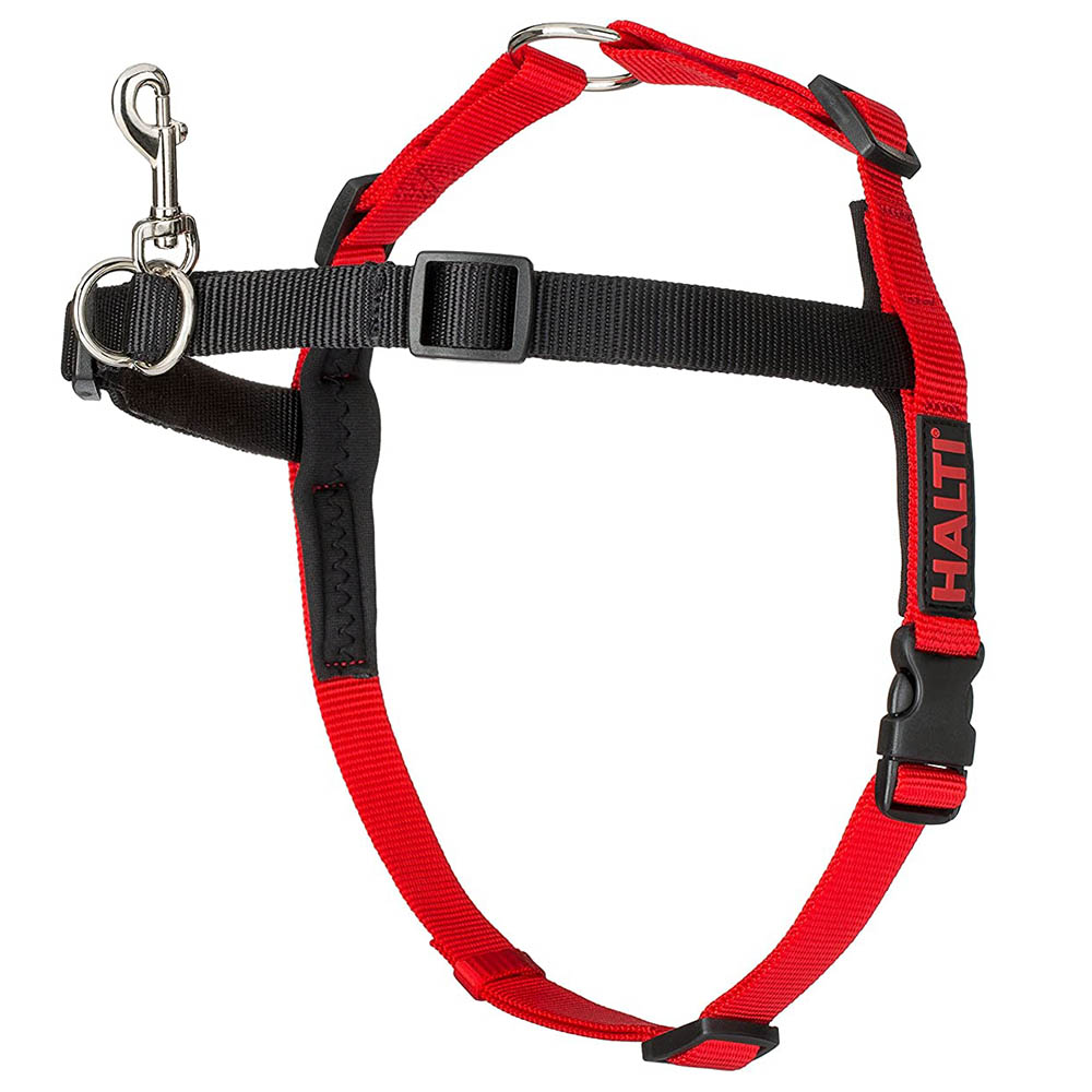 Company of Animals Halti Harness Small Black Red Buy at Best Price from Mumzworld