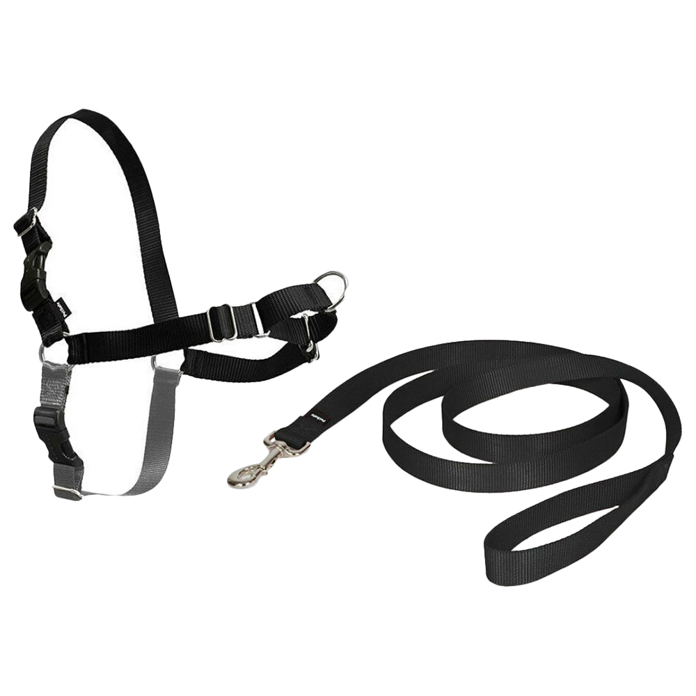 Easy leash hot sale