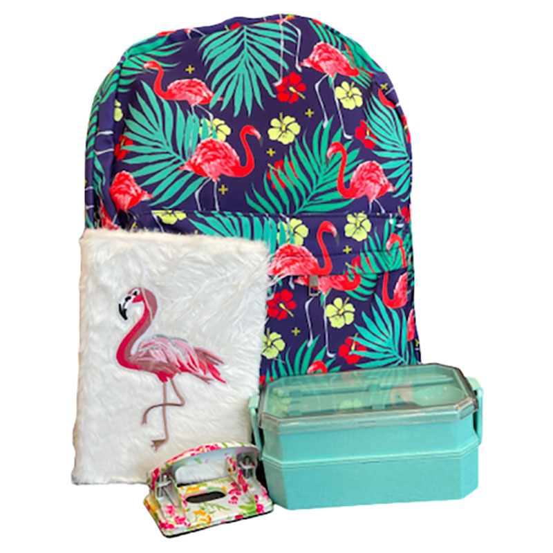 Flamingo backpack and cheap lunchbox