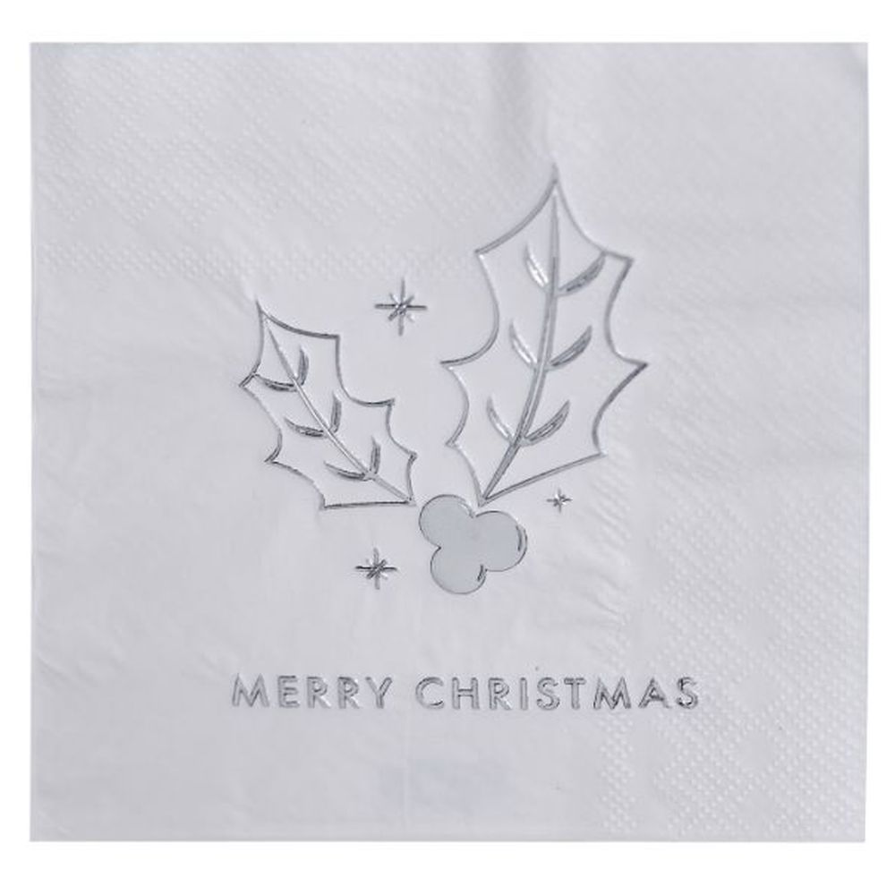 https://www.mumzworld.com/media/catalog/product/cache/8bf0fdee44d330ce9e3c910273b66bb2/p/t/ptc-sil-426-ginger-ray-silver-merry-christmas-holly-cocktail-napkin-16pcs-1663929967.jpg