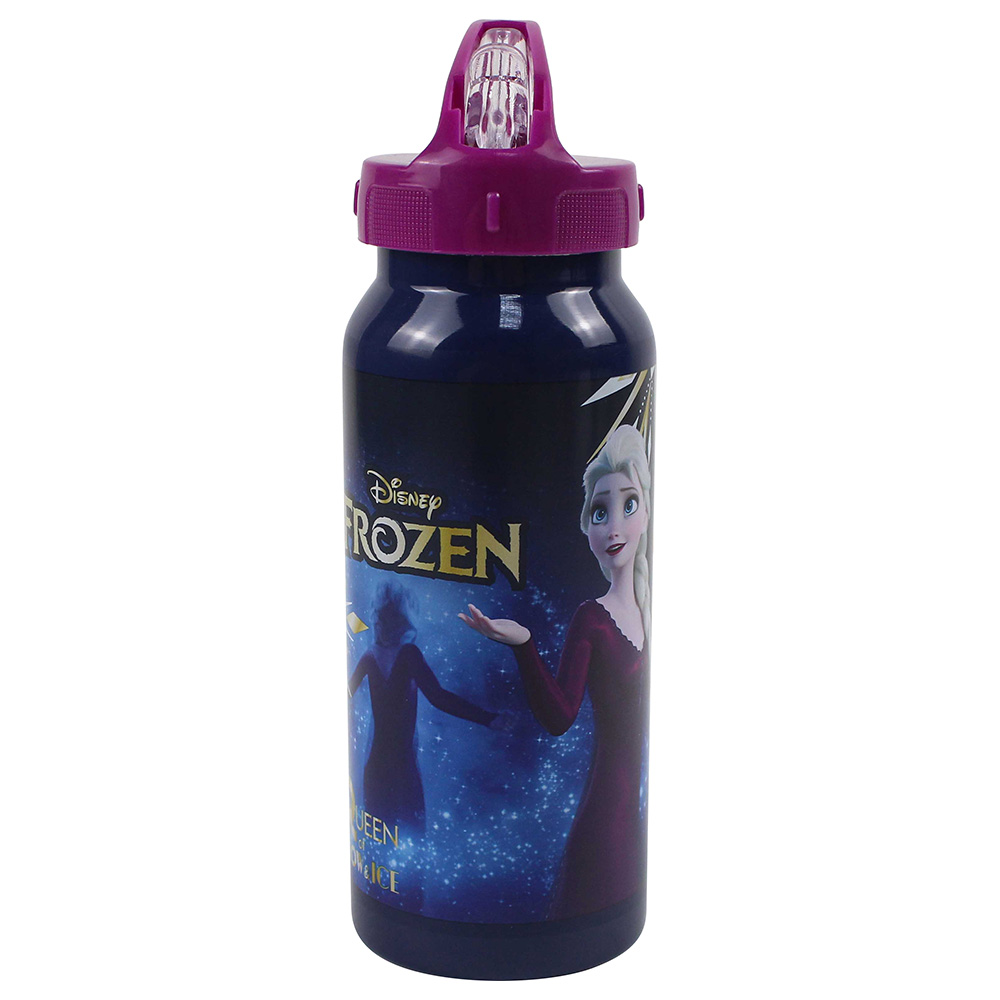 https://www.mumzworld.com/media/catalog/product/cache/8bf0fdee44d330ce9e3c910273b66bb2/s/t/stm-6899700170-disney-frozen-glory-stainless-steel-water-bottle-1660110167.jpg