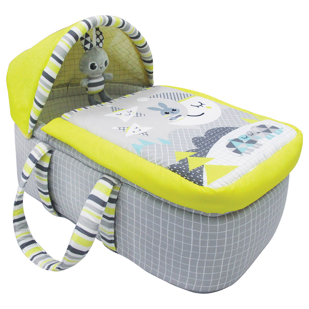 Travel hot sale moses basket