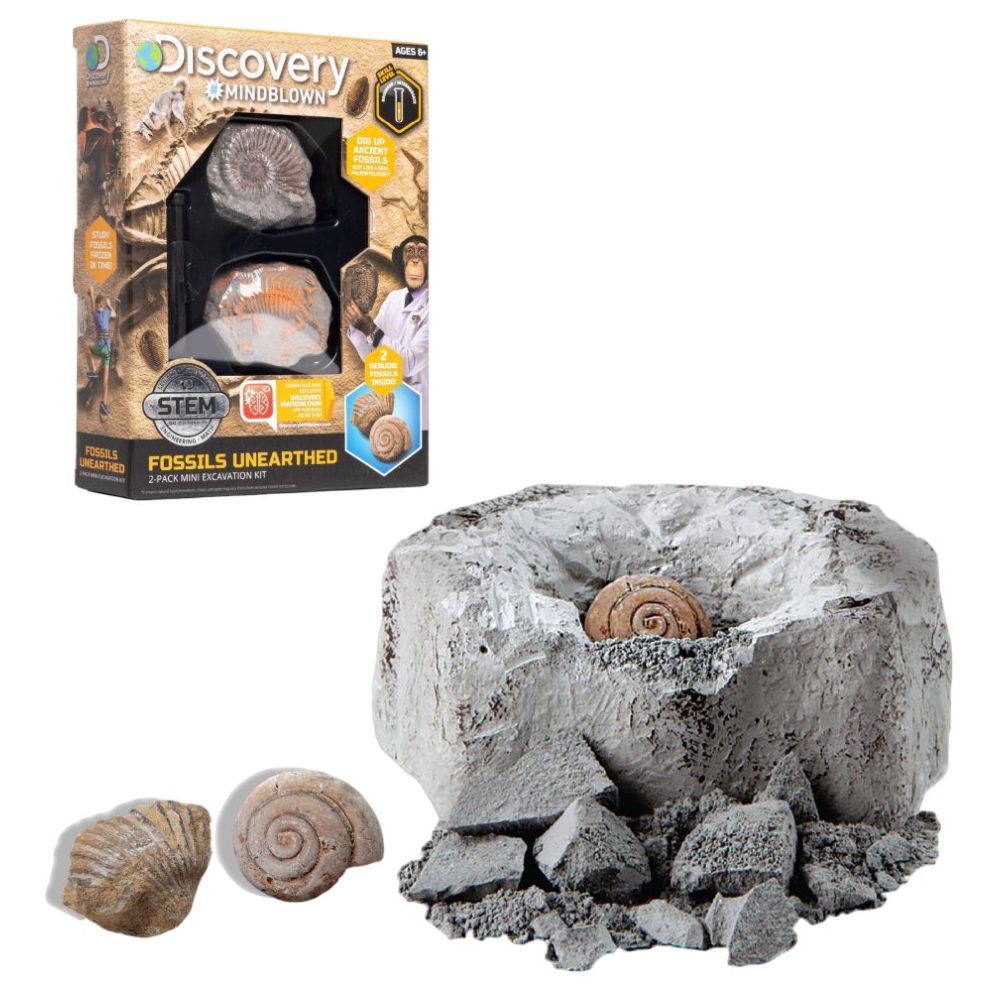 Buy Discovery Mindblown - Mini Fossil Excavation Kit 2pcs at The ...