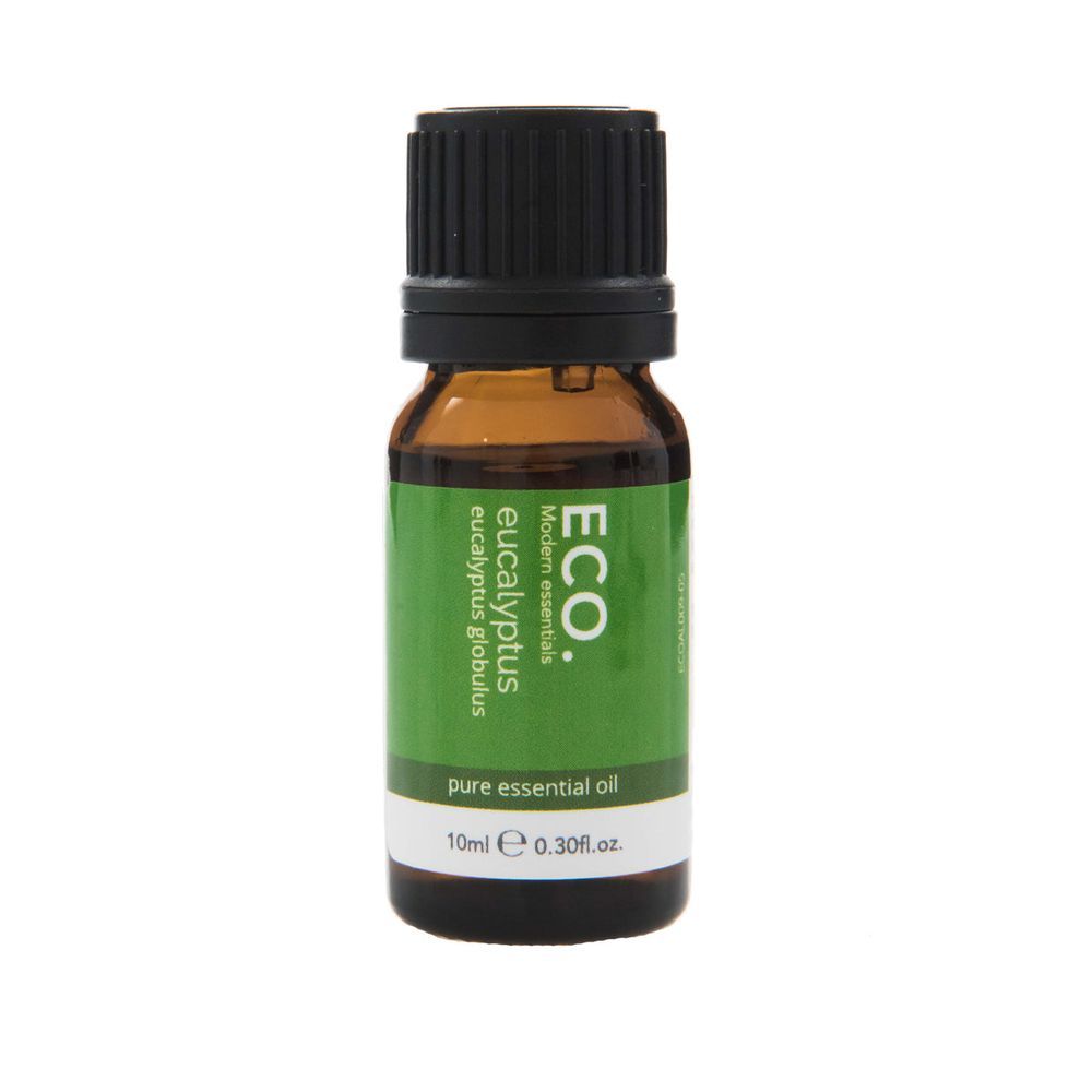 Eco - Pure Essential Aroma Oil - Eucalyptus - 10 ml