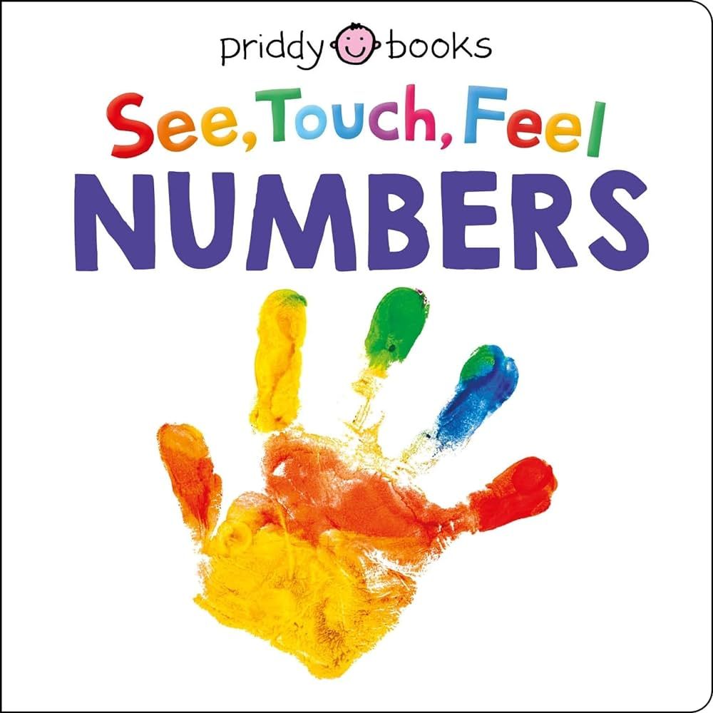 See, Touch, Feel Numbers