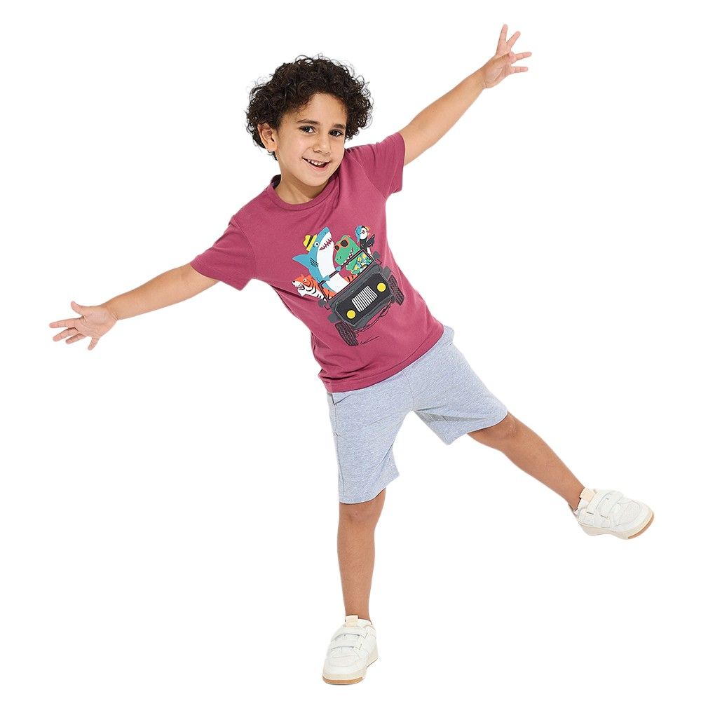 Victor and Jane - Junior Boys' T-Shirt & Shorts Set - Plum & Grey