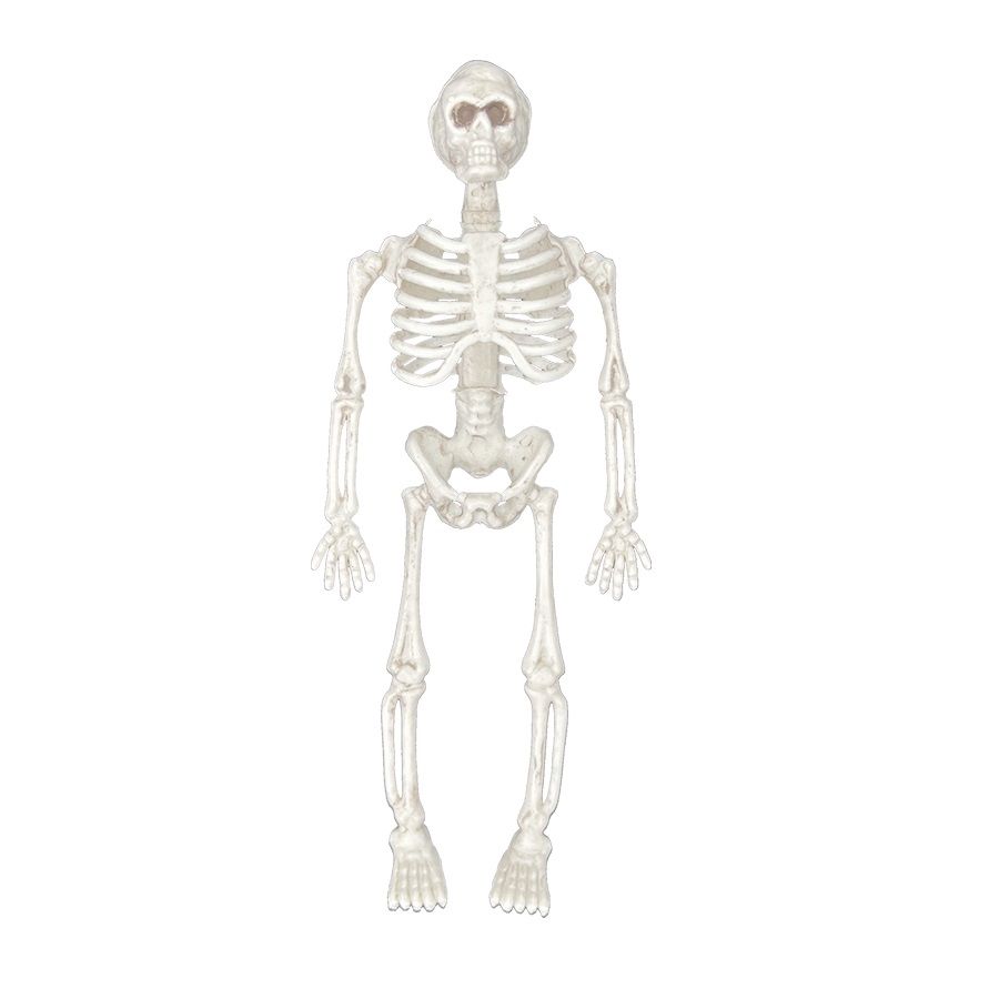 Party Magic - Halloween Decoration Skeleton - Silver - Pack of 6