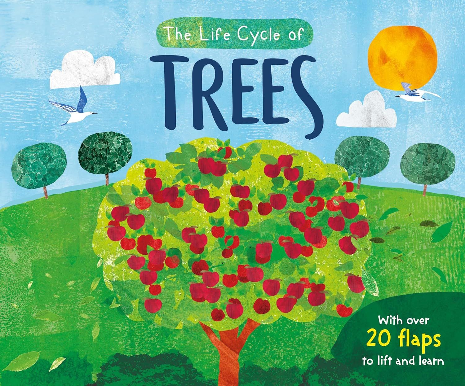 The Life Cycle Of Trees