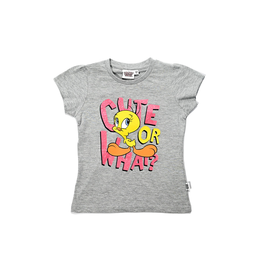 Looney Tunes - Boys T-Shirt - Grey