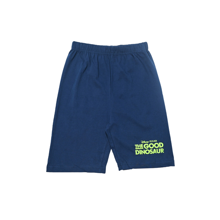 The Good Dinosaur - Boys Shorts