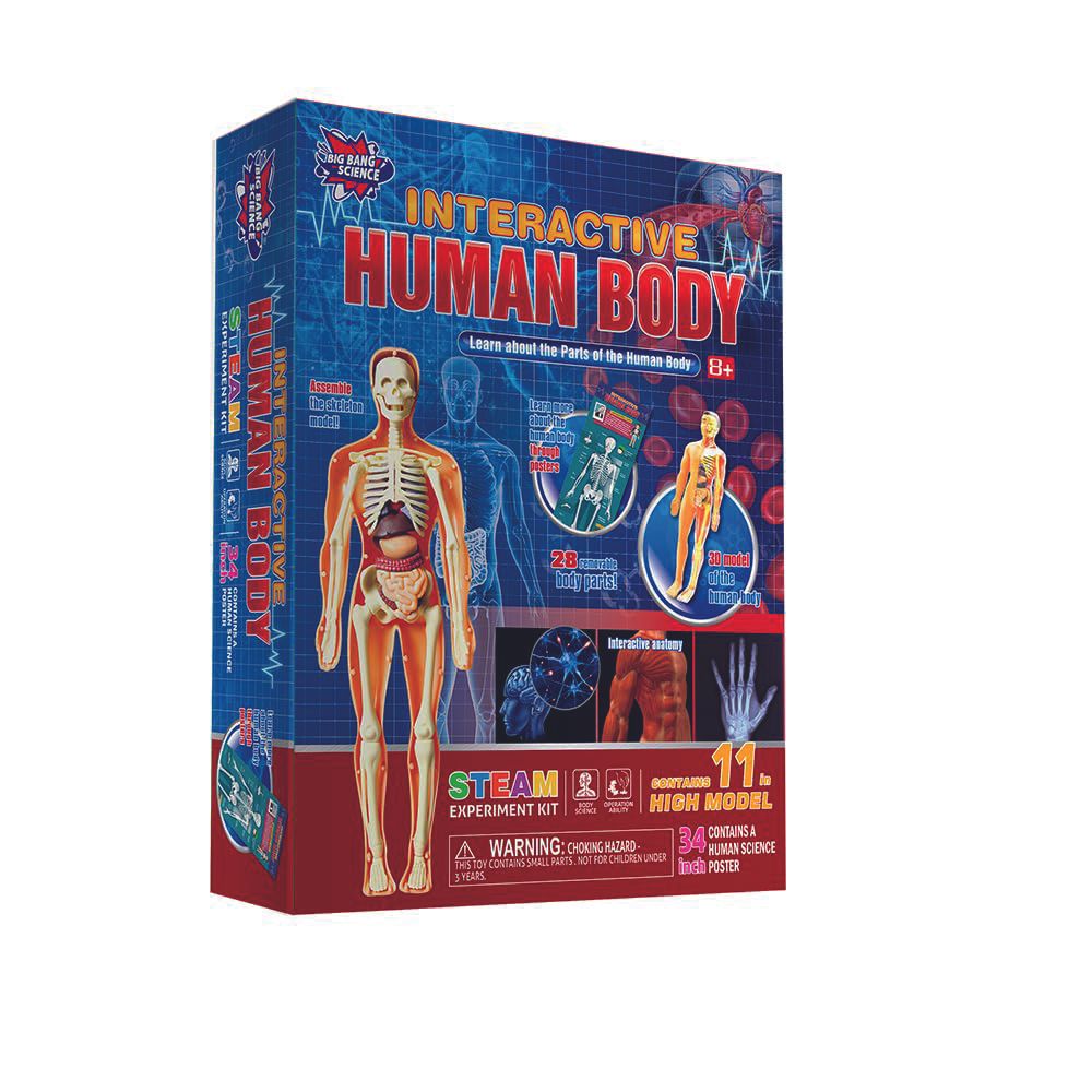 Brain Giggles - Interactive Human Body STEM Kit