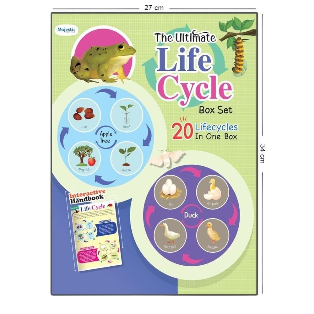 Life Cycle Puzzle 20pcs With Puzzle Book